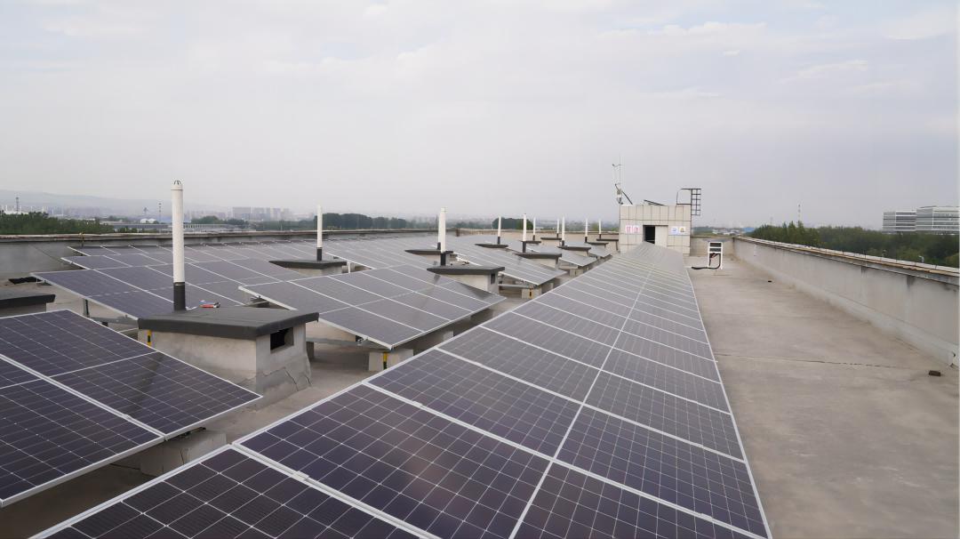 1693366147703045814.png 641c07e14803fd22bb99f2e9c5a147d(1).png